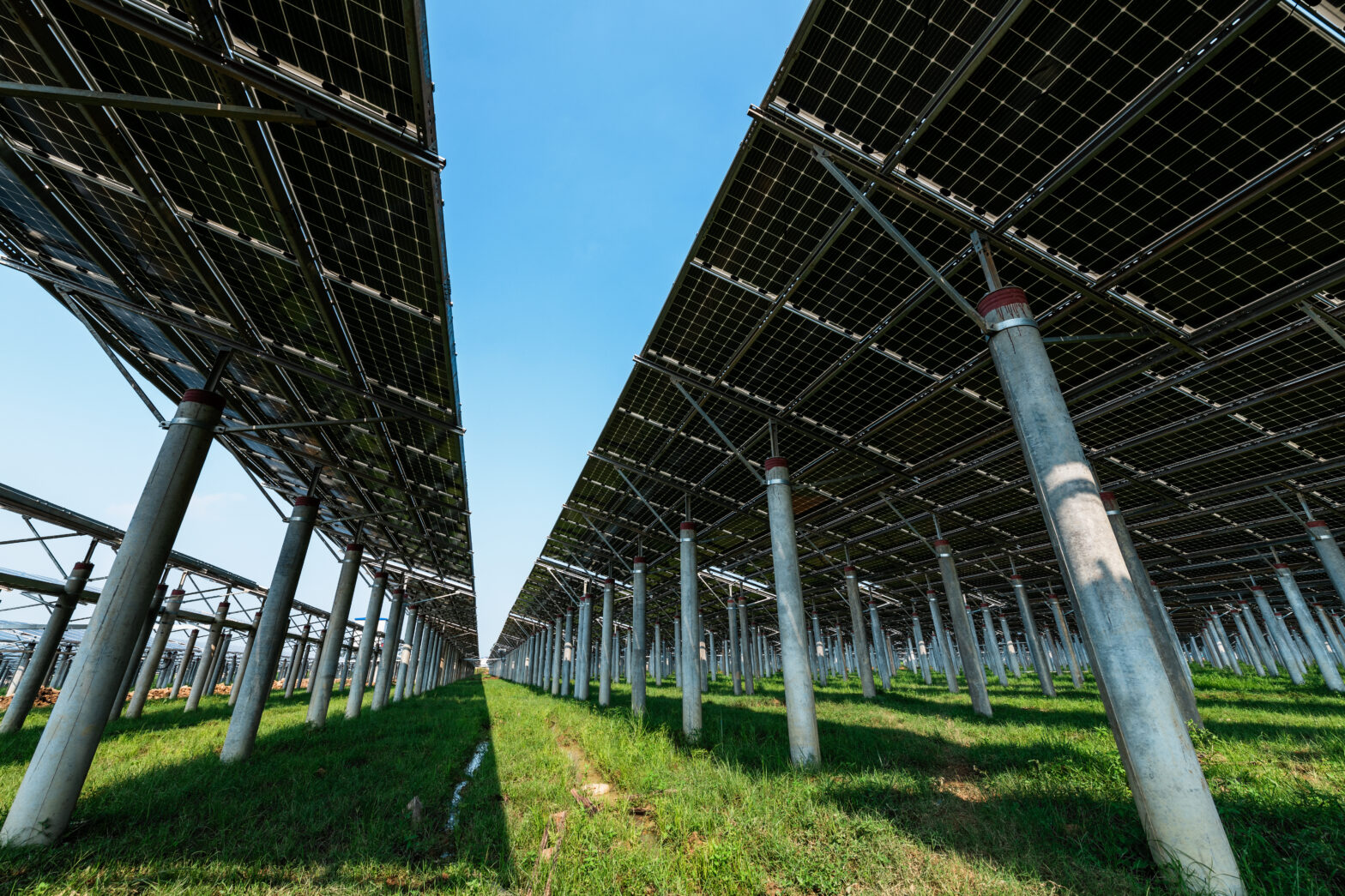 ¿Cómo se deben limpiar las placas solares?