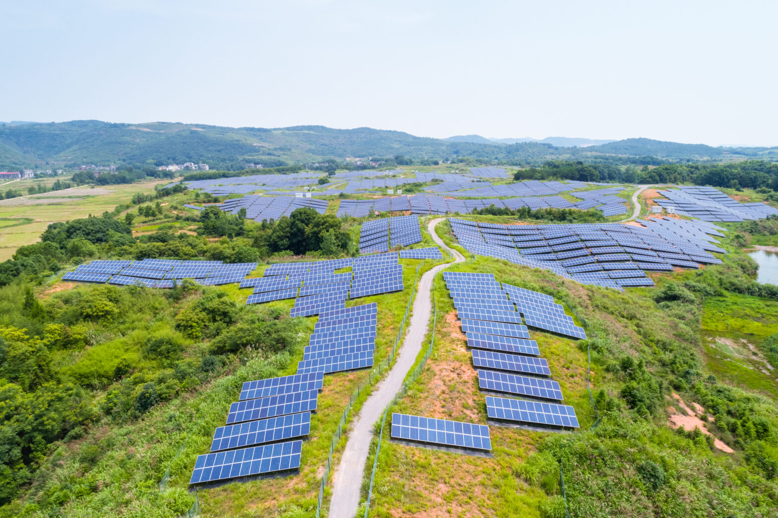 Impacto de la Energía Solar en la Conservación de la Biodiversidad